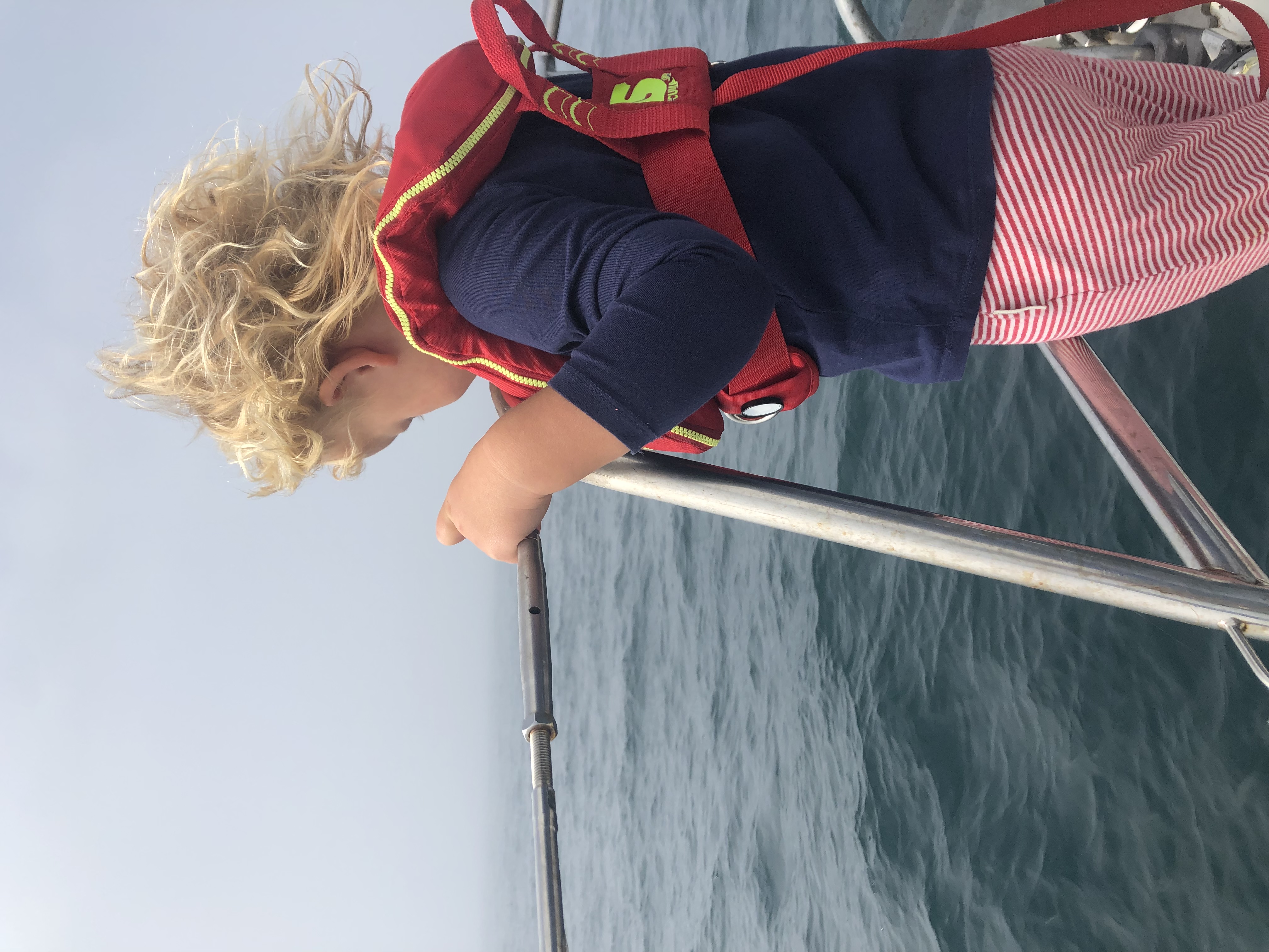 Zeilen varen dolfijnen portugal kinderen rond de wereld atlantische oceaan zee boot zeilboot vertrekkers kinderen marifoon zon mist 